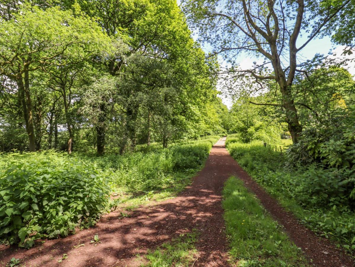 1 Greenway Cinderford Ngoại thất bức ảnh